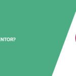 What is Elementor? The Ultimate Guide for 2025